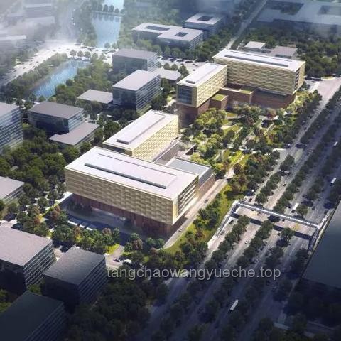 中国女孩哈佛毕业礼演讲引爆全球关注，国际化学术交流趋势展望